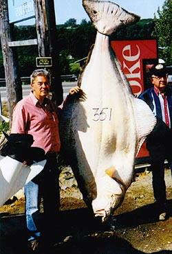 Alaska halibut fishing produced this 351 pound halibut for our guests.