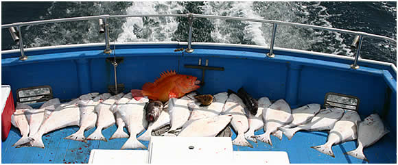 A good days catch of Alaska halibut lingcod and red snapper.