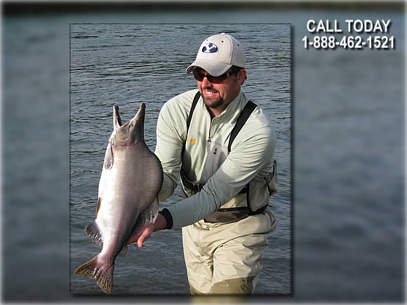 Alaska Pink Salmon Fishing.