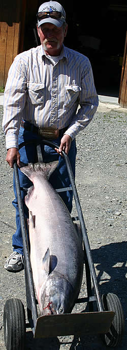 Alaska Salmon Fishing