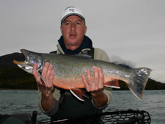 Dolly Varden Fishing on the Kenai River in Alaska with Alaska Fishing Lodges.