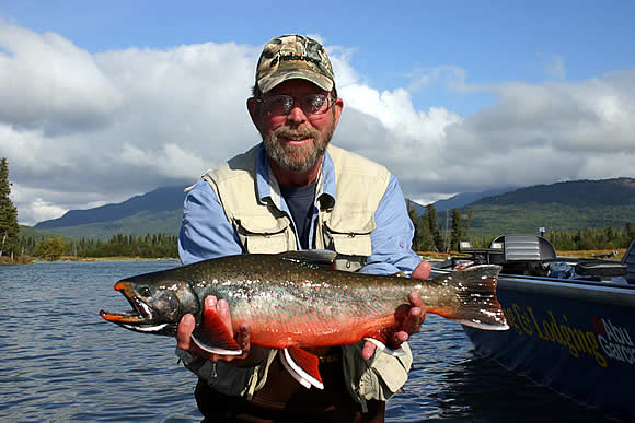 Sea Run Dolly Varden fishing on the Kenai River in Alaska.