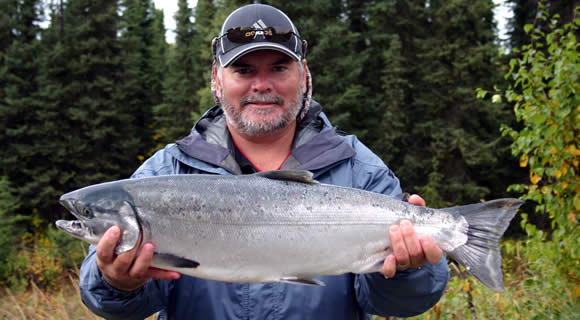 Alaska Silver Salmon Fishing Specials on the Kenai River in 2012, 2013, 2014.