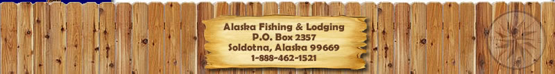 Salmon Fishing in Alaska